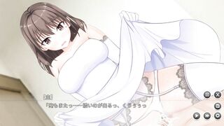 Hentai Game 彼女とのぱいもみ生活