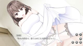 Hentai Game 彼女とのぱいもみ生活