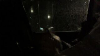 Masturbation in the Car while being Illuminated by the Moonlight