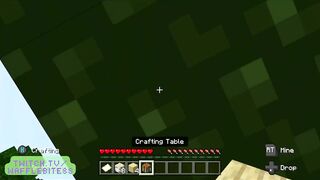 Minecraft chill! Check out my livestreams on twitch! No fucking, just gaming!