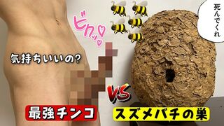 【伝説】スズメバチの巣でオナニーできるか検証してみた! オナニストたけ 変態 素人 勃起 無修正 潮吹き ザーメン 精液 手コキ 亀頭 我慢汁 ホモ まんこ クリ アナル 中出し トイレ 射精 種付け