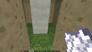 Minecraft Tips and Tricks 3: Fast and Free House