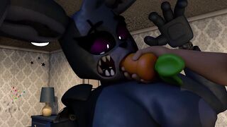 nightmare bonnie night party