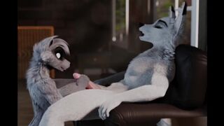 Furry Video P16