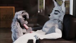 Furry Video P16