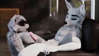 Furry Video P16