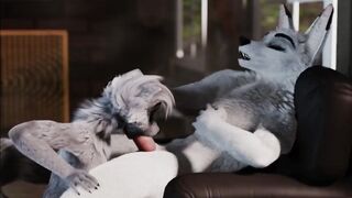 Furry Video P16