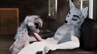 Furry Video P16