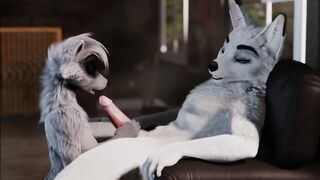 Furry Video P16