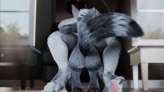 Furry Video P16