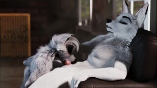 Furry Video P16