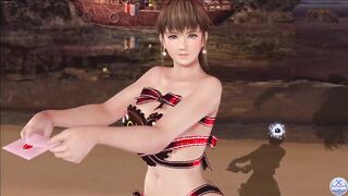 Dead or Alive Xtreme Venus Vacation Hitomi Valentine's Day Pose Cards Fanservice Appreciation