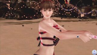 Dead or Alive Xtreme Venus Vacation Hitomi Valentine's Day Pose Cards Fanservice Appreciation