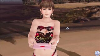 Dead or Alive Xtreme Venus Vacation Hitomi Valentine's Day Pose Cards Fanservice Appreciation