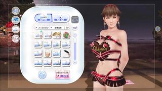 Dead or Alive Xtreme Venus Vacation Hitomi Valentine's Day Pose Cards Fanservice Appreciation