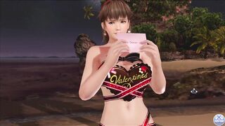 Dead or Alive Xtreme Venus Vacation Hitomi Valentine's Day Pose Cards Fanservice Appreciation