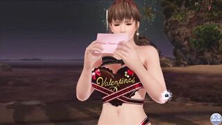 Dead or Alive Xtreme Venus Vacation Hitomi Valentine's Day Pose Cards Fanservice Appreciation