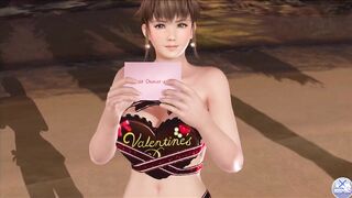 Dead or Alive Xtreme Venus Vacation Hitomi Valentine's Day Pose Cards Fanservice Appreciation