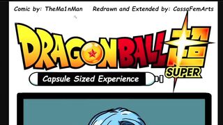 Dragon Ball Porn Comic - Capsule Sized Experience