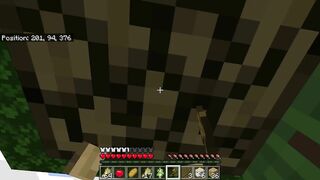 Minecraft Episode 4: OOPS