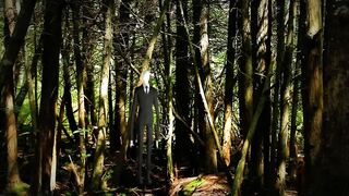 Free Stock Footage Forest Slenderman 2