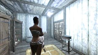 Skyrim: Sexlab Defeat Mod