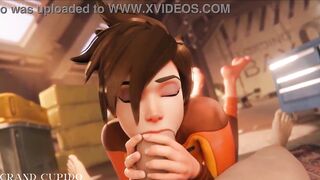 Overwatch HMV/PMV - Full Bodied