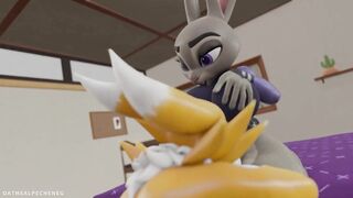 Renamon X Judy