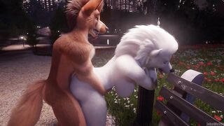 Furry Sex in the Park