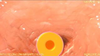 MrSafetyLion Official - Lioness Nala and Kiara impregnated by an OC!